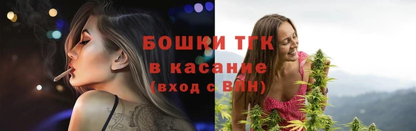 apvp Богородицк