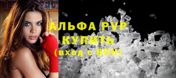 apvp Богородицк